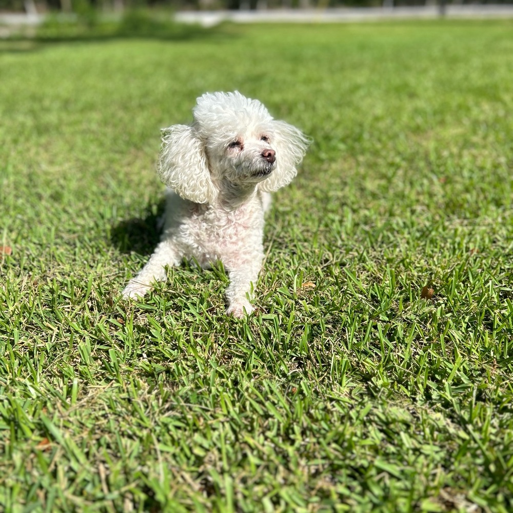 ✨Victoriacole988 is LIVE✨ - Picture 5 of 7